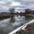 The tall trees and a stream in Irpen, Ukraine just outside of Kyiv, Ukraine Royalty Free Stock Photo